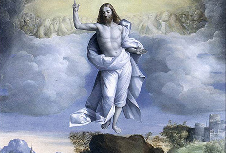 The Solemnity of the Ascension – Missionaries of Divine Revelation